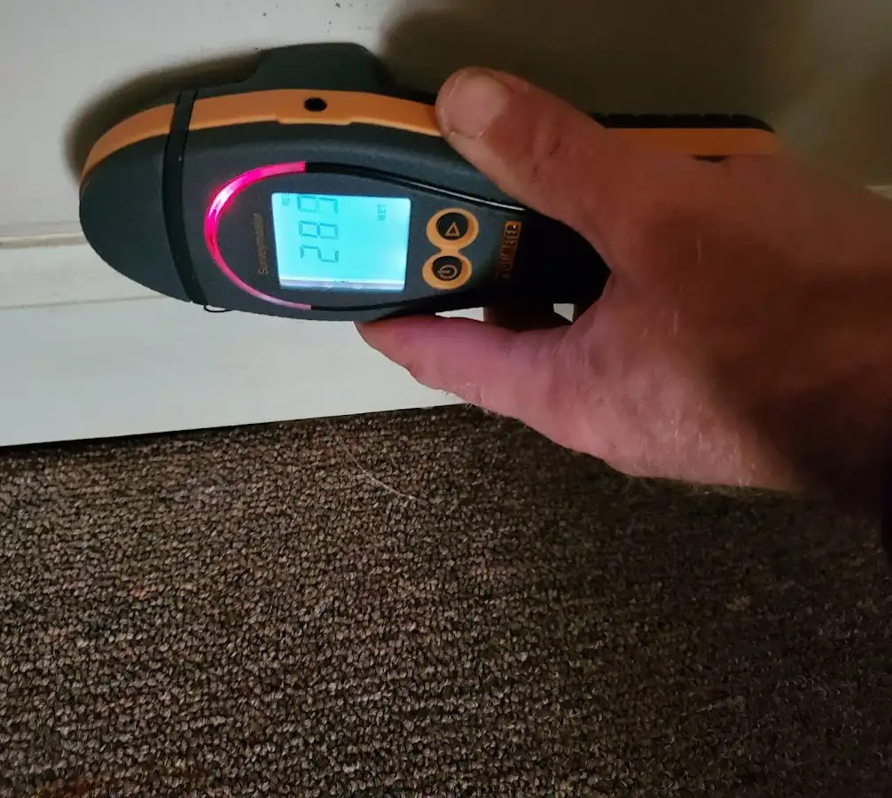 Moisture detection at baseboard during Mold Inspection & Testing in Danville
